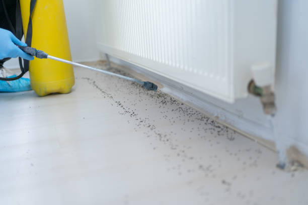 Best Pest Control Near Me in Greenville, MS